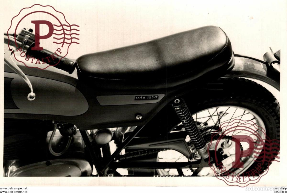 Cars and Motorcycles: COTA123-T TRIAL +-18cm x 12cm Moto MOTOCROSS MOTORCYCLE Douglas J Jackson archive of motorcycles
