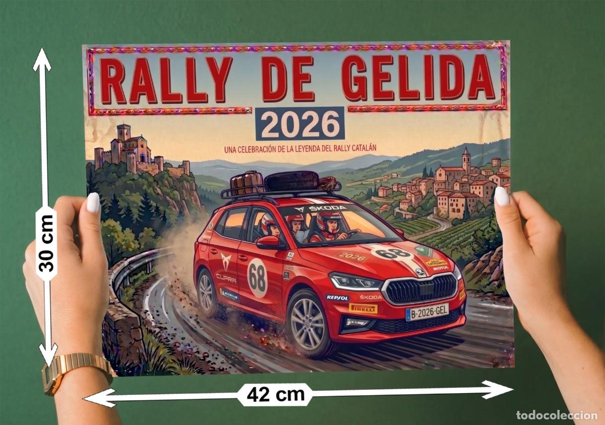 Coches y Motocicletas: Poster Skoda FAbia Rally - tama&ntilde;o Din A3 (42x30 cm)
