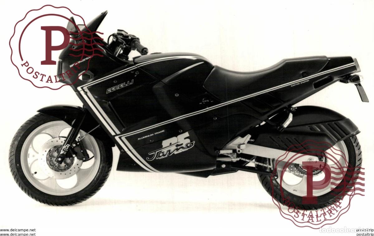Carros e motociclos: Benelli +-18cm x 12cm Moto MOTOCROSS MOTORCYCLE Douglas J Jackson archive of motorcycles