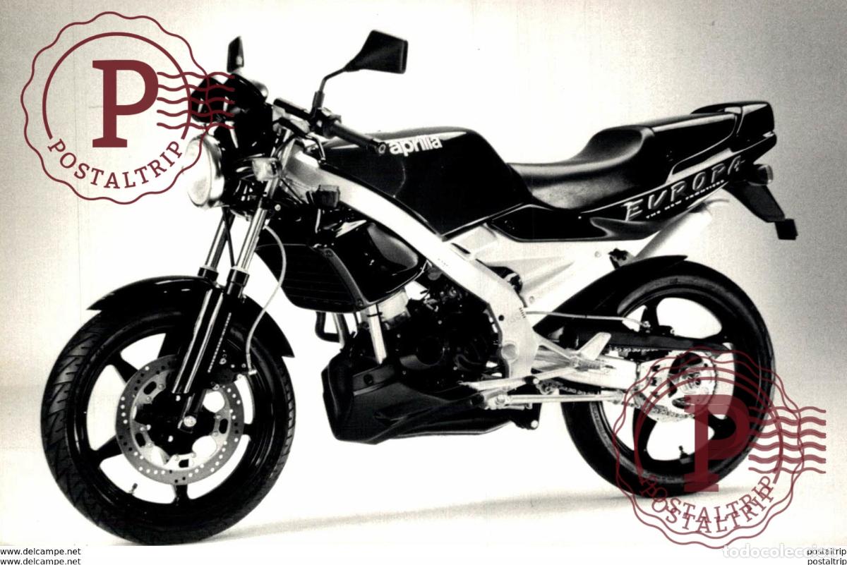 Carros e motociclos: Aprilia 50Europa +-15cm x 10cm Moto MOTOCROSS MOTORCYCLE Douglas J Jackson archive of motorcycles