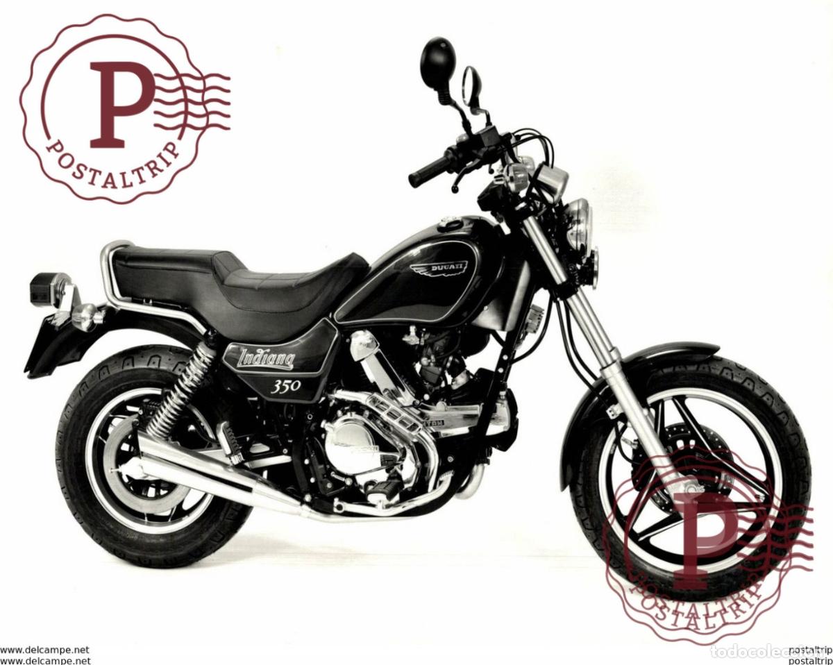 Autos und Motorr&auml;der: DUCATI 350 +-19cm x 24,5cm Moto MOTOCROSS MOTORCYCLE Douglas J Jackson archive of motorcycles