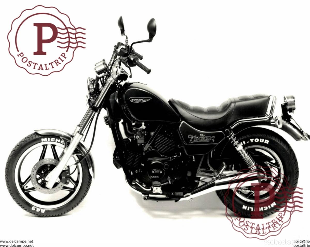 Autos und Motorr&auml;der: DUCATI +-19cm x 24,5cm Moto MOTOCROSS MOTORCYCLE Douglas J Jackson archive of motorcycles