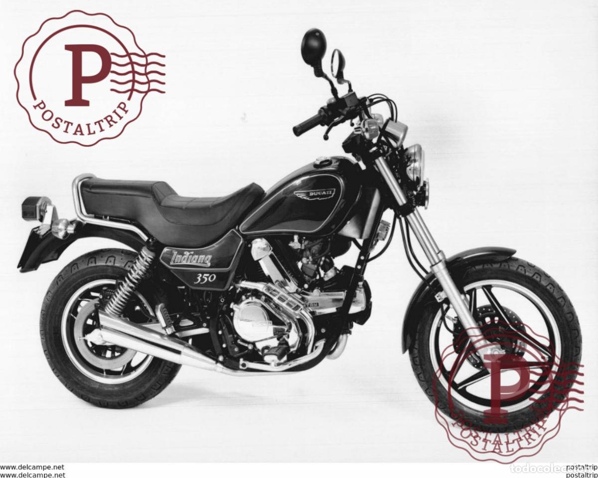 Automobili e Motociclette: DUCATI 350 +-19cm x 24,5cm Moto MOTOCROSS MOTORCYCLE Douglas J Jackson archive of motorcycles4,