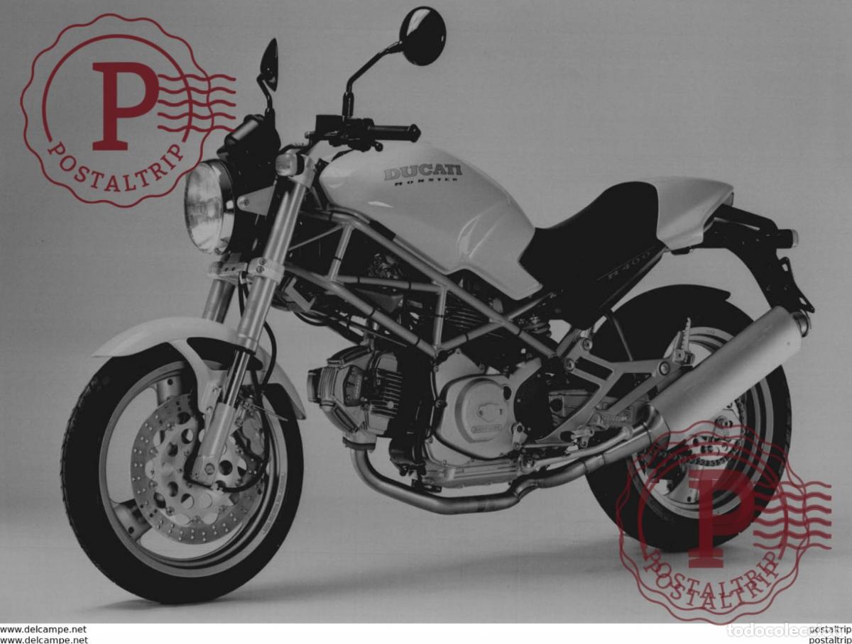 Autos und Motorr&auml;der: DUCATI MONSTER +-18cm x 24,5cm Moto MOTOCROSS MOTORCYCLE Douglas J Jackson archive of motorcycles