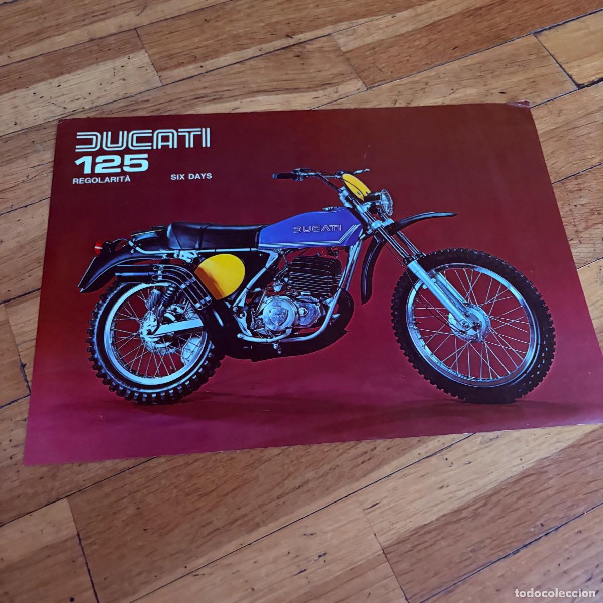 Coches y motocicletas: Cat&aacute;logo folleto publicidad original ducati 125 regolarita six days