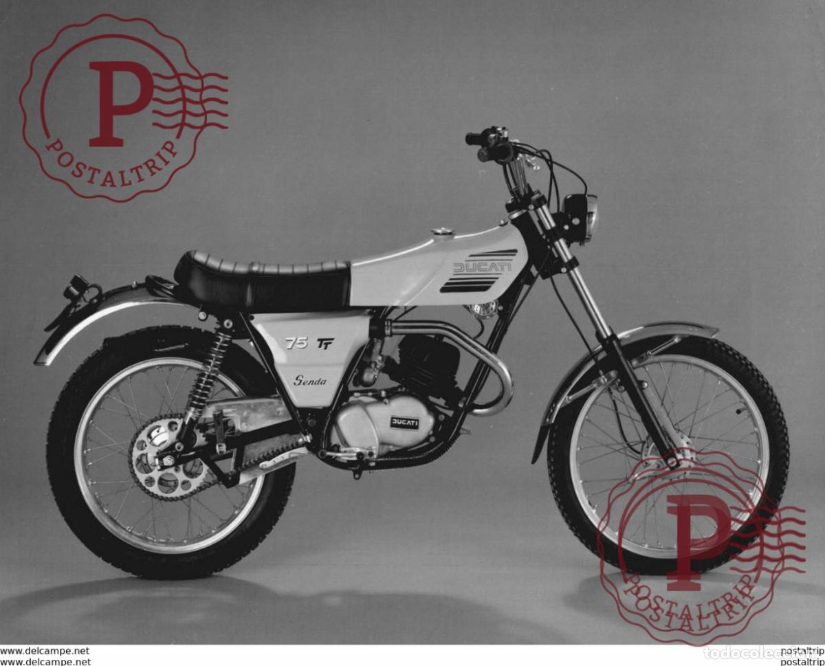 Autos und Motorr&auml;der: DUCATI 75 SENDA +-18cm x 23,5cm Moto MOTOCROSS MOTORCYCLE Douglas J Jackson archive of motorcycles