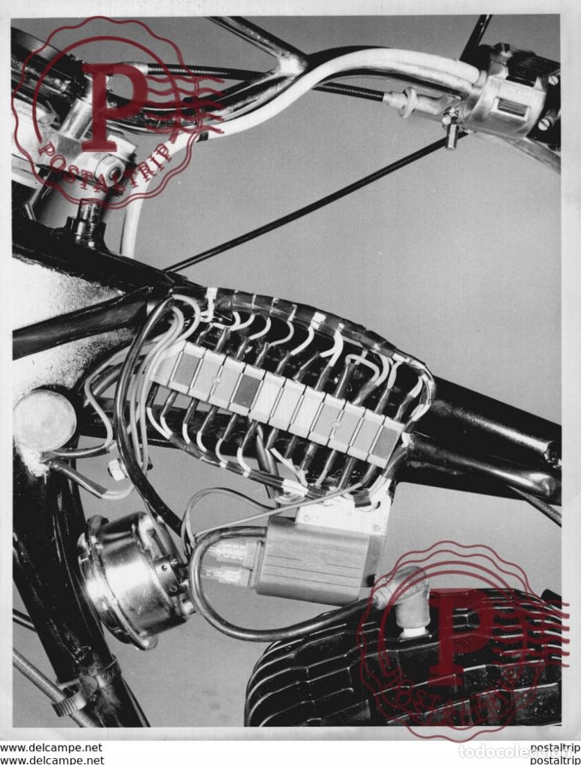 Autos und Motorr&auml;der: MOTOR ELECTRONIC MOTORPLAT CHAMPION 25x20cm Moto MOTOCROSS MOTORCYCLE Douglas J Jackson archive of m