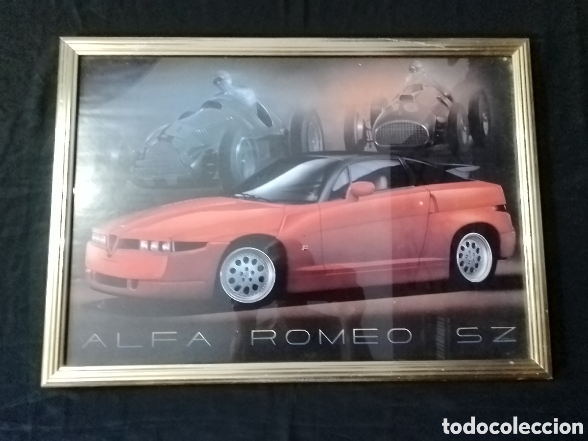 Coches y motocicletas: Cuadro Alfa Romeo SZ con cristal
