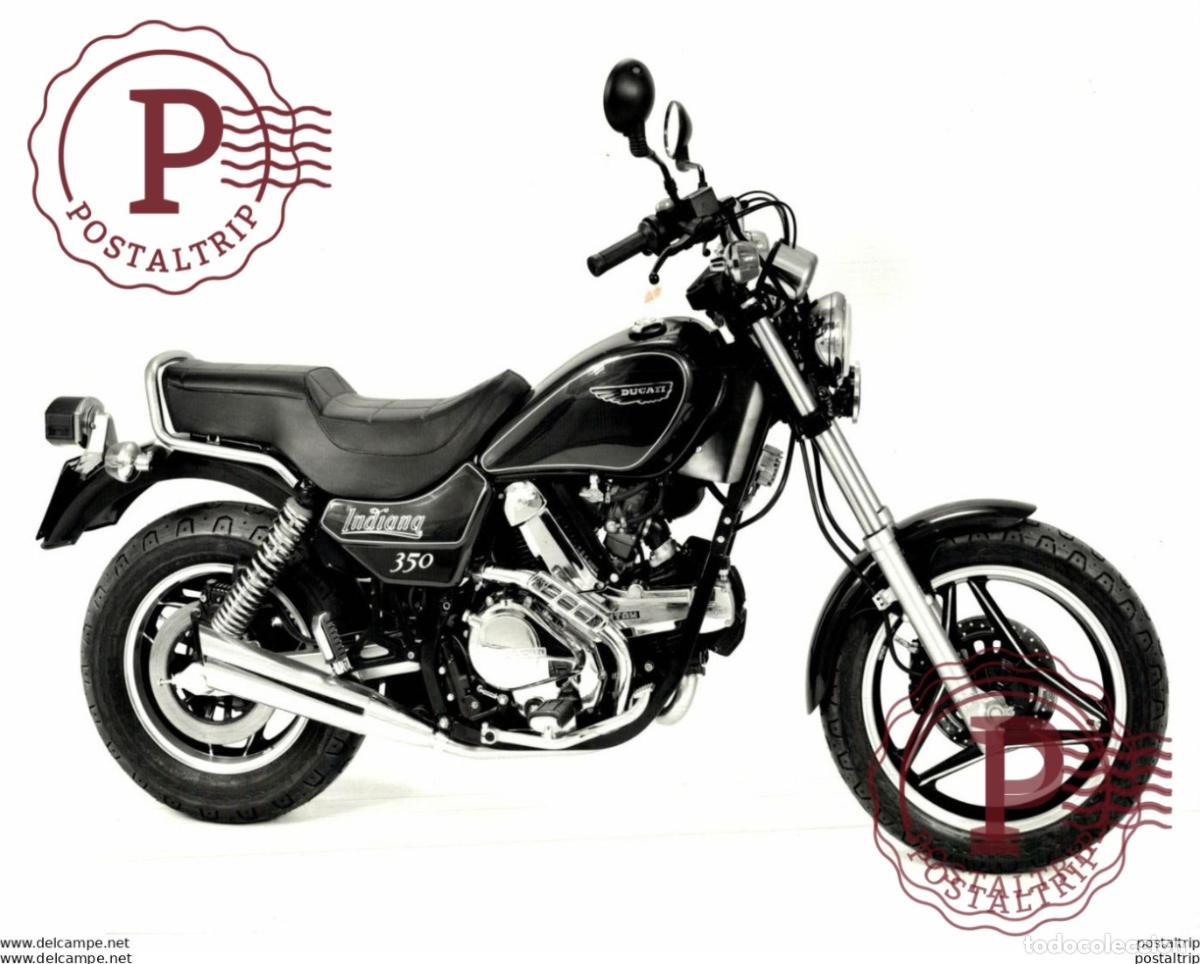 Automobili e Motociclette: DUCATI INDIANA 350. 23*17cm Moto MOTOCROSS MOTORCYCLE Douglas J Jackson archive of motorcycles