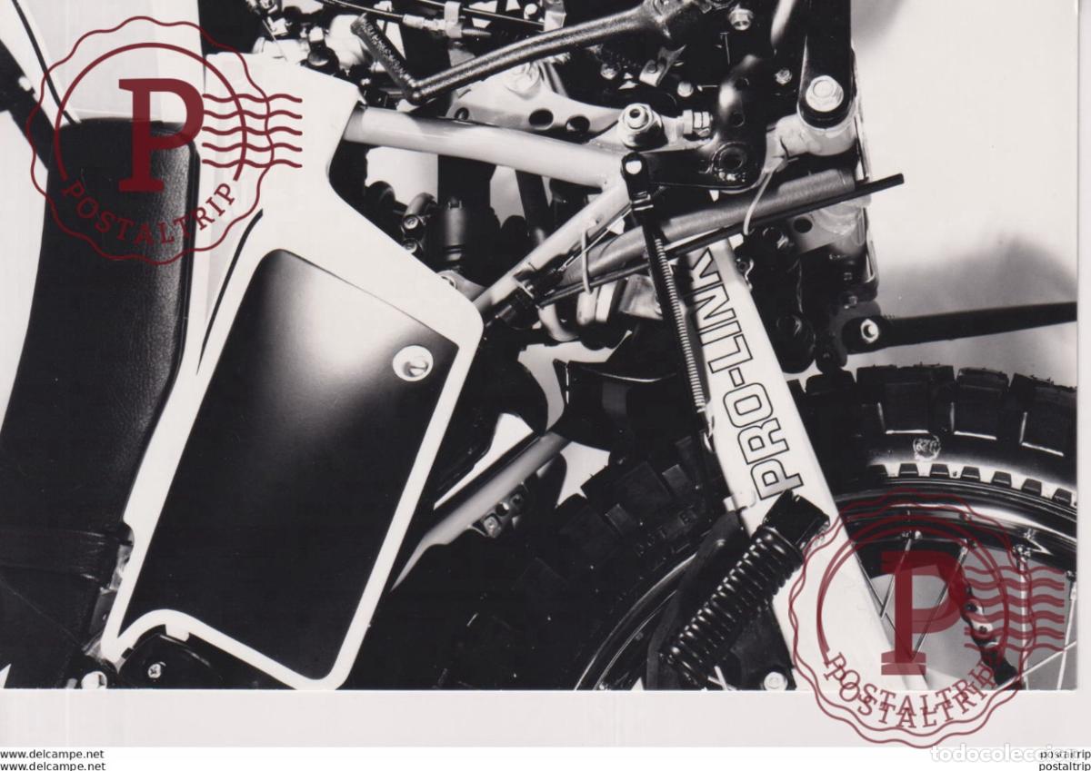 Automobili e Motociclette: HONDA, PRO-LINK. 17*12cm Moto MOTOCROSS MOTORCYCLE Douglas J Jackson archive of motorcycles