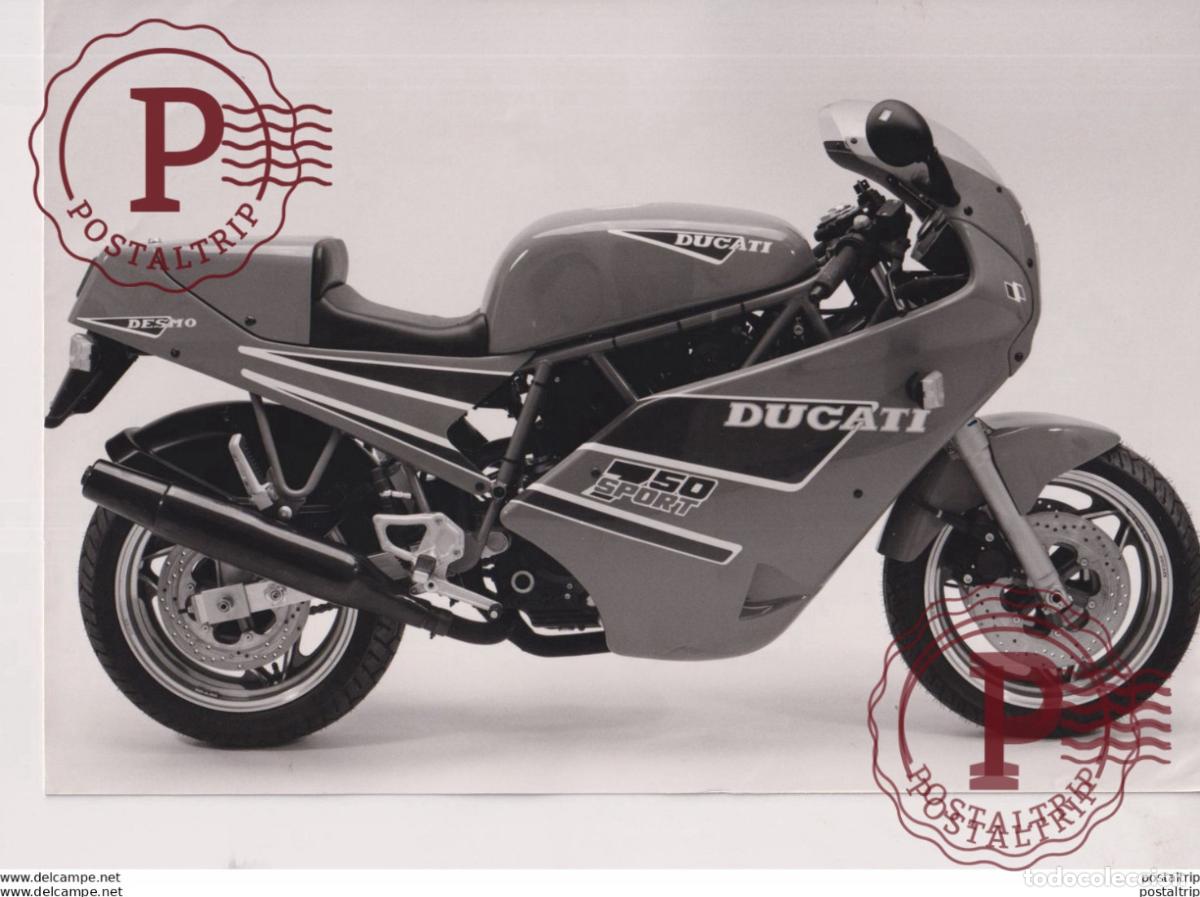 Automobili e Motociclette: DUCATI SPORT50. 22*14cm Moto MOTOCROSS MOTORCYCLE Douglas J Jackson archive of motorcycles