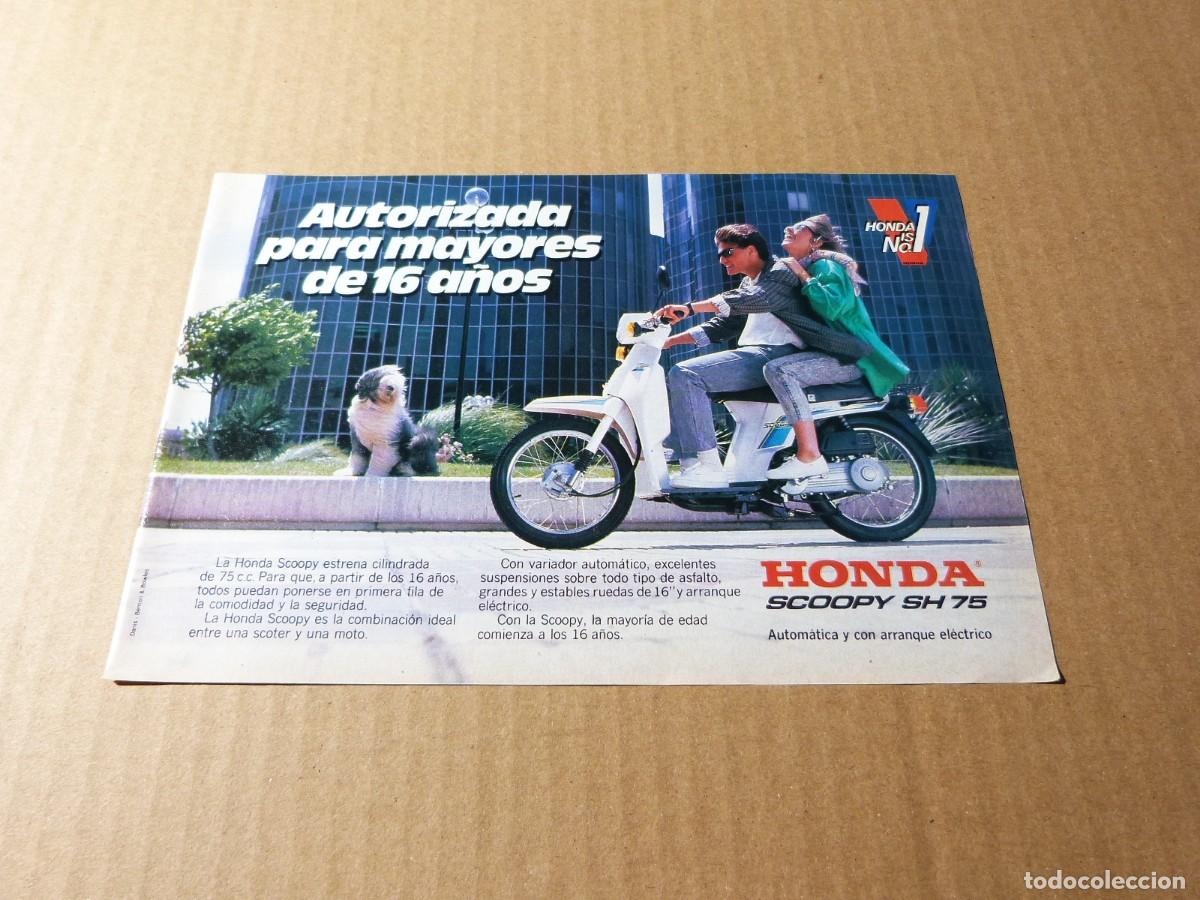 Coches y motocicletas: Anuncio Honda Scoopy SH 75 autorizada para mayores de 16 a&ntilde;os - Publicidad de los a&ntilde;os 80