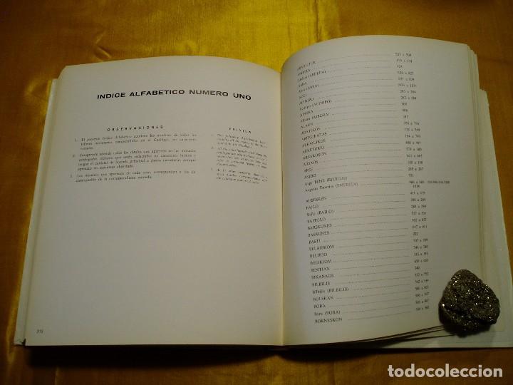 Cat&aacute;logos y libros de monedas: La Moneda Ib&eacute;rica de A. M. de Guad&aacute;n - Foto 16