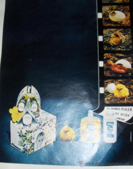 Cat&aacute;logos publicitarios: 2 HOJAS DE PUBLICIDAD DE NENUCO. - Foto 1