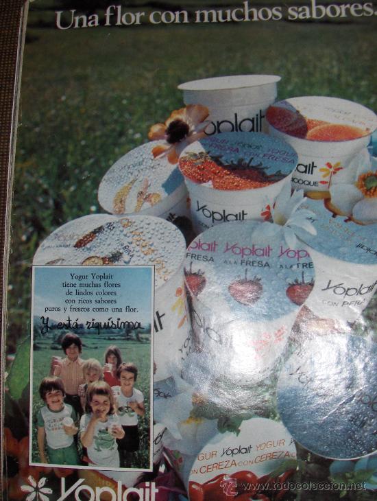 Cat&aacute;logos publicitarios: PUBLICIDAD DE YOGURES YOPLAIT. - Foto 1
