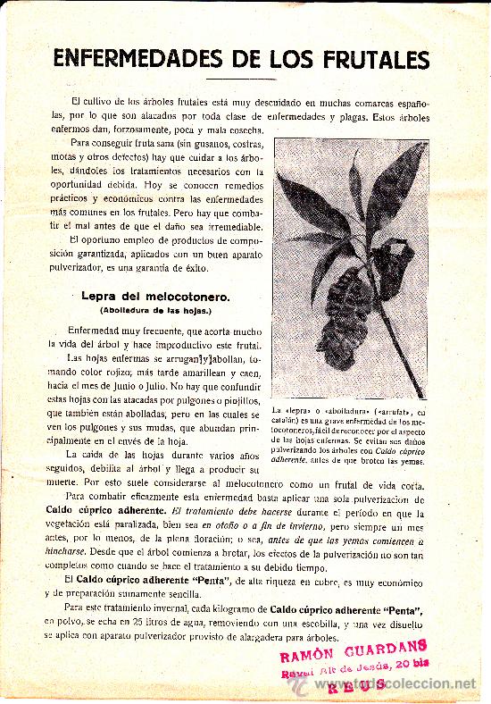 Cat&aacute;logos publicitarios: Enfermedades de los Frutales Ram&oacute;n Guardans Reus
