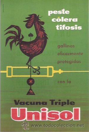 Catalogues publicitaires: ANTIGUA POSTAL CON PUBLICIDAD DE FARMACIA, VACUNA TRIPLE UNISOL PROD. NEOSAN. DIB. DOMENECH.