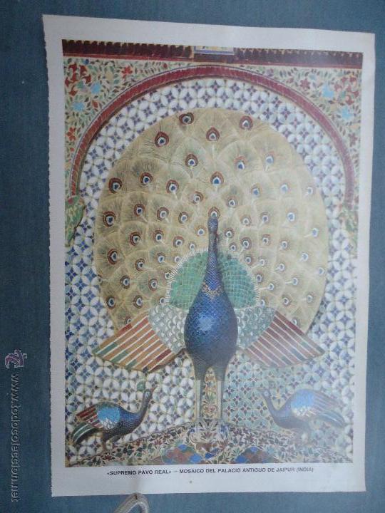 Cat&aacute;logos publicit&aacute;rios: PUBLICIDAD - ANTIGUA HOJA PUBLICITARIA SUELTA -  SUPREMO PAVO REAL PALACIO ANTIGUO JAIPUR INDIA