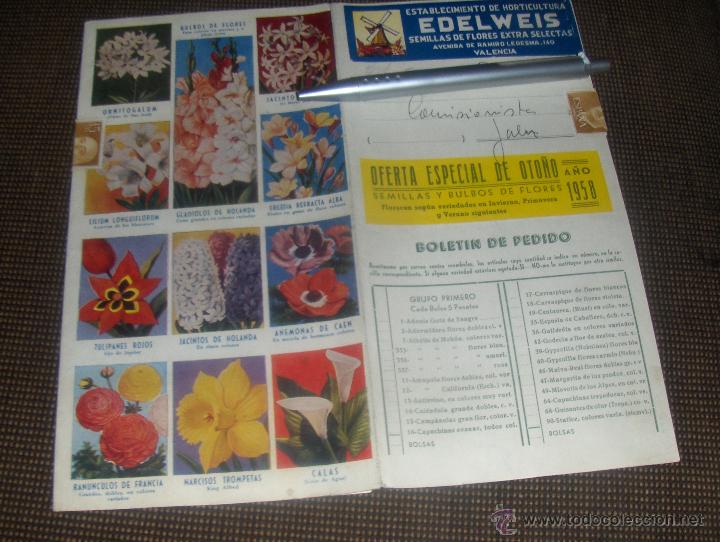 Catalogues publicitaires: EDELWEIS, ESTABLECIMIENTO DE HORTICULTURA. SEMILLAS Y FLORES. VALENCIA 1958.