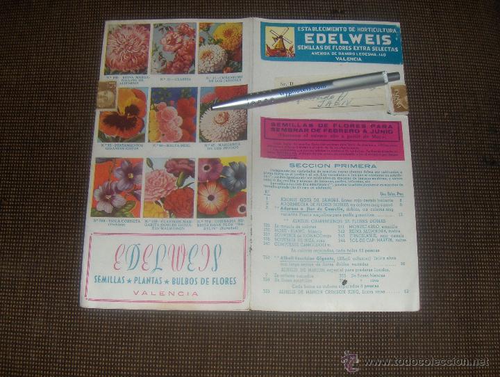 Cat&aacute;logos publicit&aacute;rios: EDELWEIS, ESTABLECIMIENTO DE HORTICULTURA. SEMILLAS Y FLORES. VALENCIA.