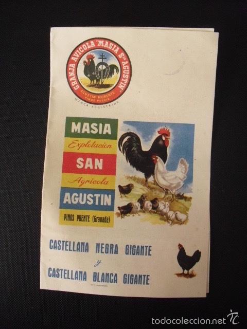 Cat&aacute;logos publicitarios: FOLLETO PUBLICITARIO DE GRANJA AVICOLA MASIA SAN AGUSTIN. PINOS PUENTE, GRANADA. A&Ntilde;OS 60.