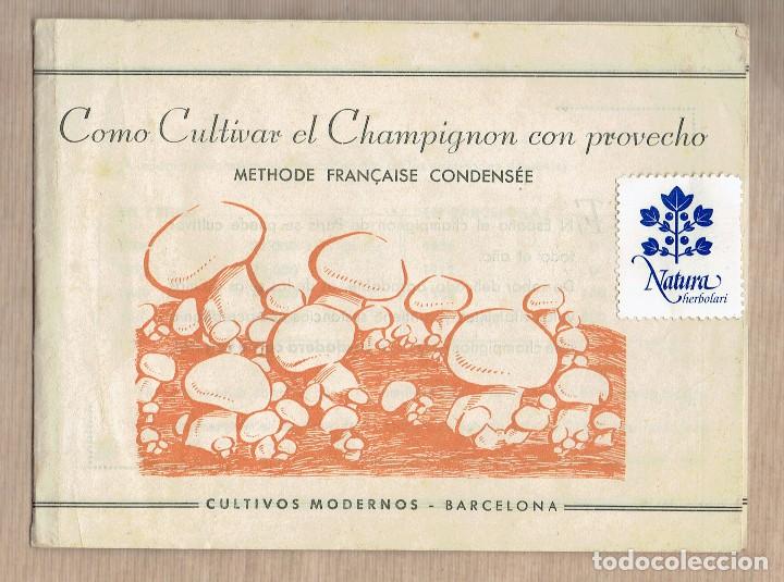 Cataloghi pubblicitari: Como cultivar el champignon con provecho - Publicidad - A&ntilde;os 50