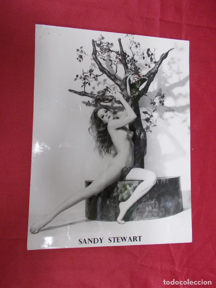Cat&aacute;logos publicitarios: FOTOGRAFIA. SANDY STEWART. - Foto 1