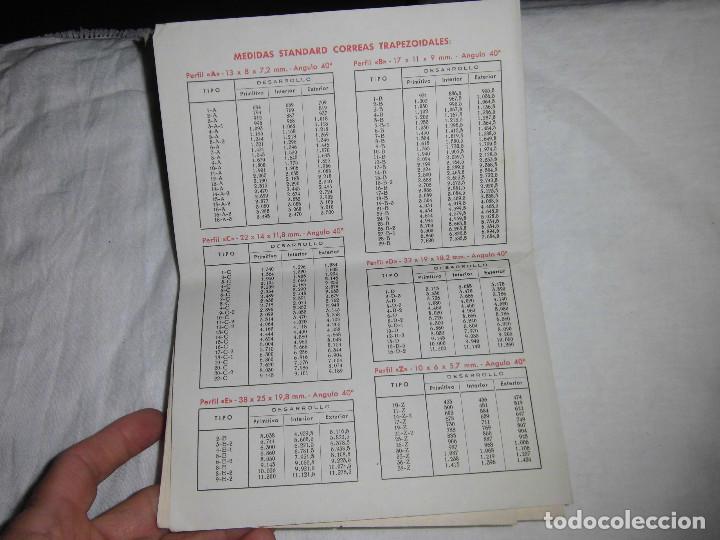 Cat&aacute;logos publicitarios: CATALOGO DE PREDIOC DE ADAM CORREAS TRAPEZOIDALES - Foto 4