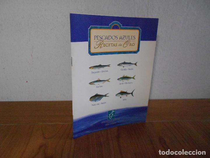 Catalogues publicitaires: PESCADO AZUL-FOLLETO CON RECETAS EMITIDO POR EL MINISTERIO DE PESCA. 1999