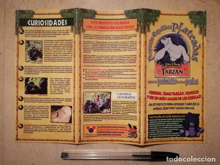Cataloghi pubblicitari: FOLLETO SOLIDARIO ONG GORILAS - WALT DISNEY - TARZAN
