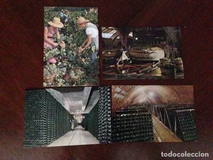Cat&aacute;logos publicitarios: ESTUCHE CON POSTALES DE CASA CODORNIU - Foto 2
