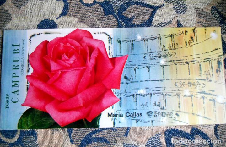 Cat&aacute;logos publicitarios: ROSAS CAMPRUB&Iacute; - CAT&Aacute;LOGO ROSAS MARIA CALLAS - 1965