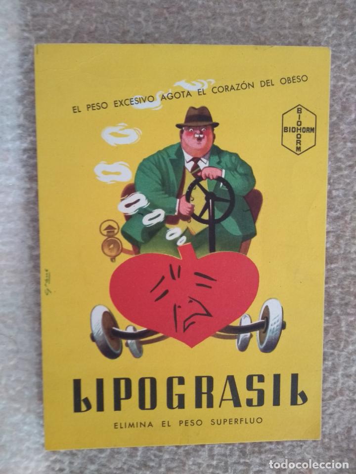 Cat&aacute;logos publicitarios: Publicidad Lipograsil - Foto 1