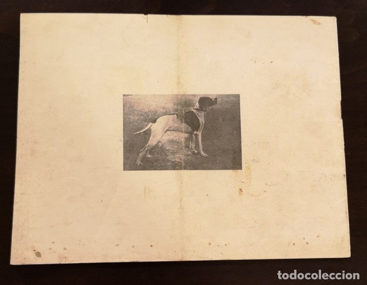Cat&aacute;logos publicitarios: Catalogo Pardo - Foto 2