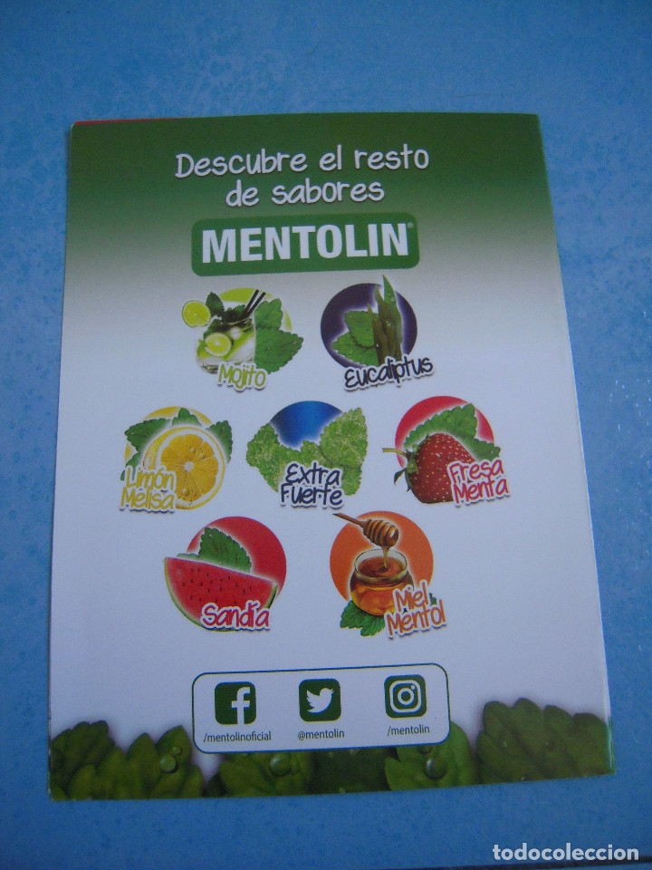 Cat&aacute;logos publicitarios: D&iacute;ptico Mentolin - Foto 2