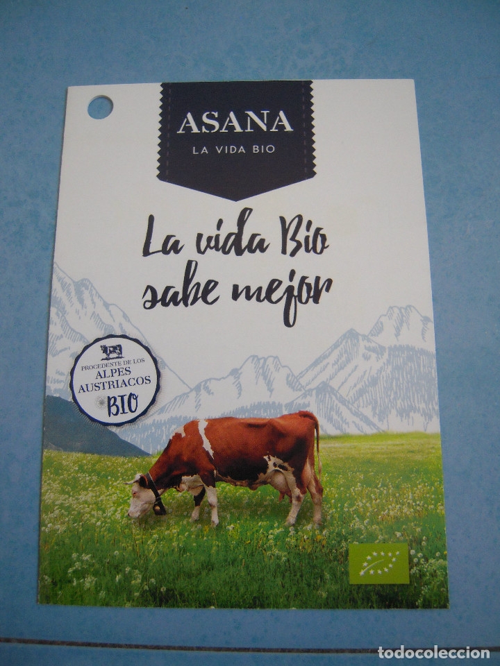 Cat&aacute;logos publicitarios: Folleto Asana - Foto 1