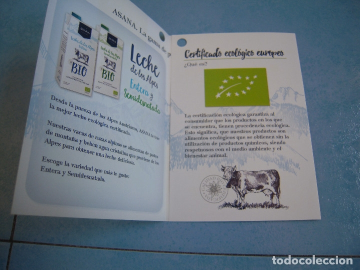 Cat&aacute;logos publicitarios: Folleto Asana - Foto 4