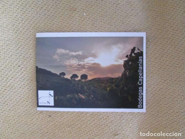Cat&aacute;logos publicitarios: BODEGAS CAPELLANIAS - Foto 1