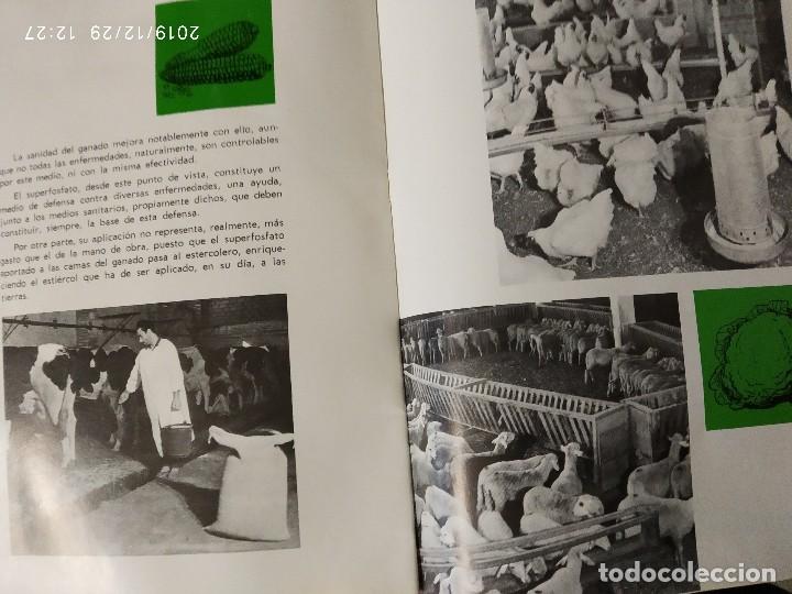 Cat&aacute;logos publicitarios: EL SUPERFOSFATO DE CAL EN ESPA&Ntilde;A. - Foto 4