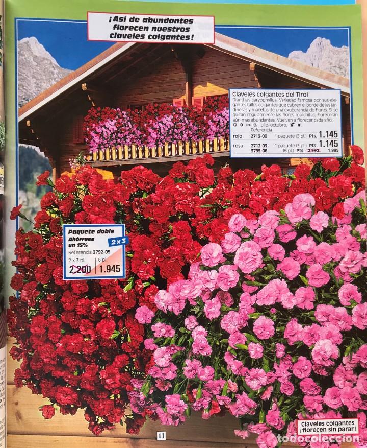 En necesidad de el centro comercial Álbum de graduación bakker.catalogo de flores 1999 - Compra venta en todocoleccion