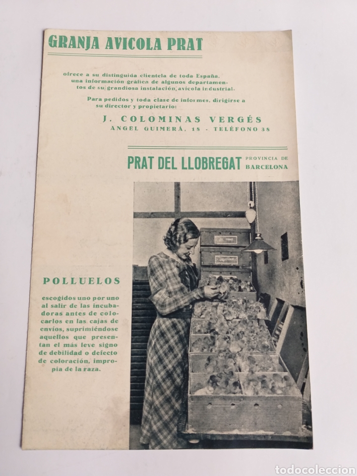 Cat&aacute;logos publicit&aacute;rios: Triptico Granja agr&iacute;cola Prat .Prat del LLobregat . Barcelona