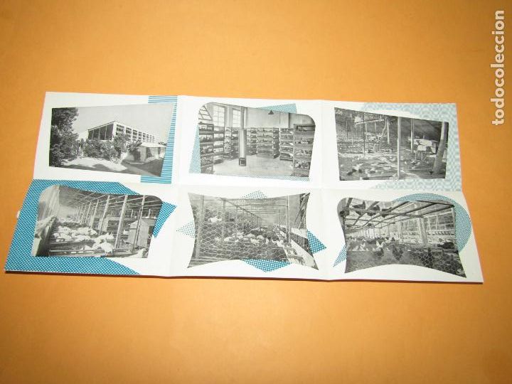Advertising Catalogs: Antiguo Cat&aacute;logo Desplegable de Ntra. Sra. de los Dolores de Pedro Mar&iacute;n en Alginet - A&ntilde;o 1960s.