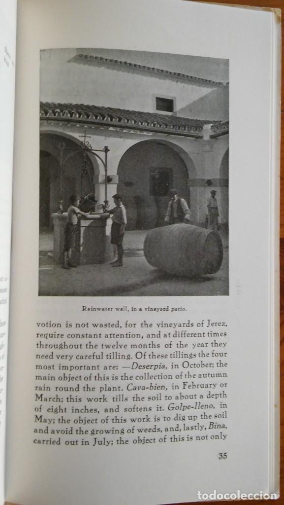 Cat&aacute;logos publicitarios: Sherry. Jerez de la Frontera, 1954 - Foto 4