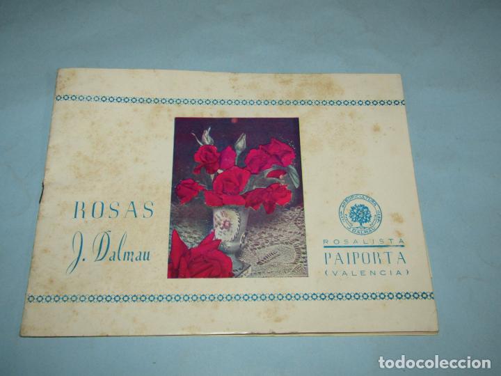 Cat&aacute;logos publicit&aacute;rios: Antiguo Cat&aacute;logo General de Arboricultura JOS&Eacute; DALMAU Rosalista de Paiporta Valencia - A&ntilde;o 1950s.