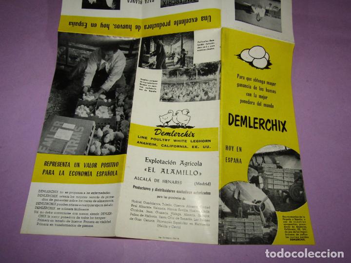 Cat&aacute;logos publicit&aacute;rios: Antiguo Cat&aacute;logo Publicitario de Gallinas Ponedoras DEMLERCHIX Explotaci&oacute;n Agr&iacute;cola EL ALAMILLO