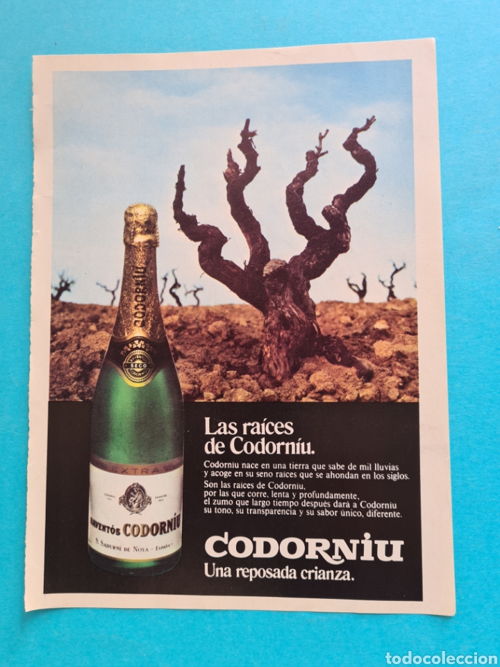 Cat&aacute;logos publicitarios: CODORNIU - ANUNCIO PUBLICITARIO 1 HOJA ORIGINAL RECORTE A&Ntilde;O 1975