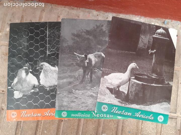 Cat&aacute;logos publicitarios: REVISTA DE FARMACIA LABORATORIOS NEOSAN VETERINARIA // LOTE DE TRES