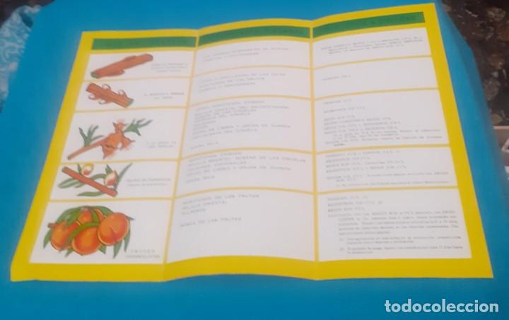 Cat&aacute;logos publicitarios: triptico de quimicos agricolas - Foto 2