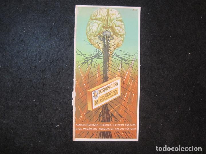 Advertising Catalogs: FOSFOPROTINA-PUBLICIDAD ANTIGUA FARMACIA-VER FOTOS-(K-4454)