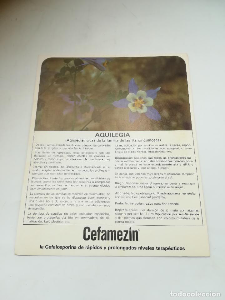 Werbekataloge: FICHA PUBLICITARIA FARMACIA. CEFAMEZIN. PLANTA AQUILEGIA. VER DORSO